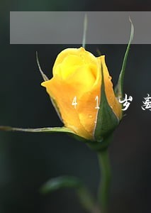 41岁离婚律师-51岁离婚